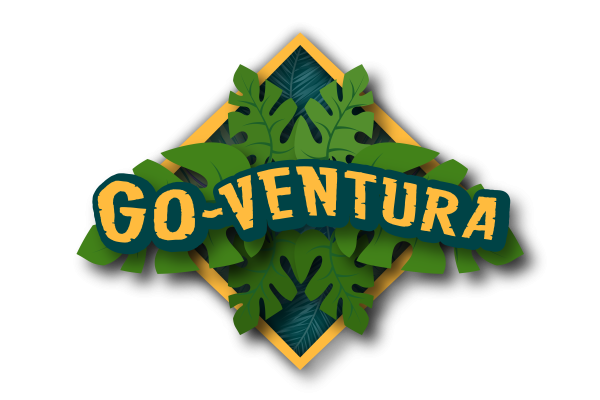 LOGO_GO-VENTURA_RVB_shadow_alpha